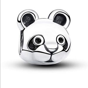 Pandora charm